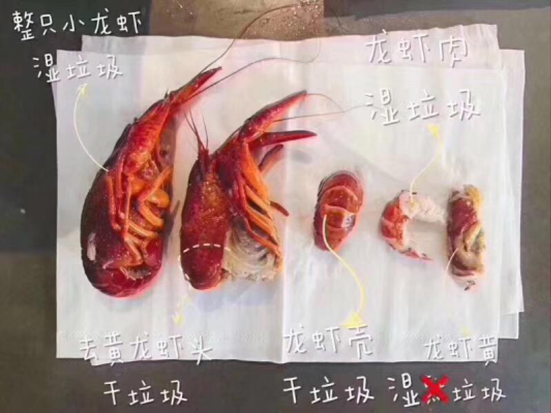 為何垃圾分類(lèi)逐漸被全國各地提上日程配圖一